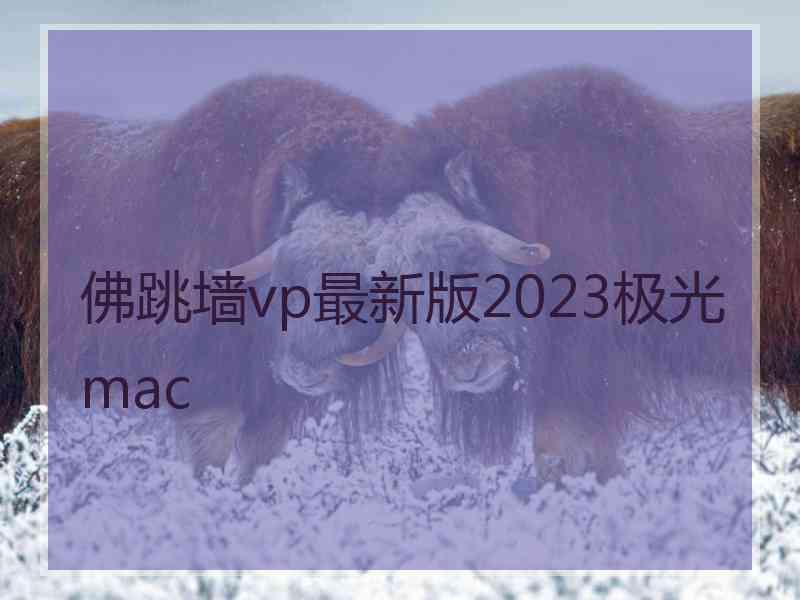 佛跳墙vp最新版2023极光 mac