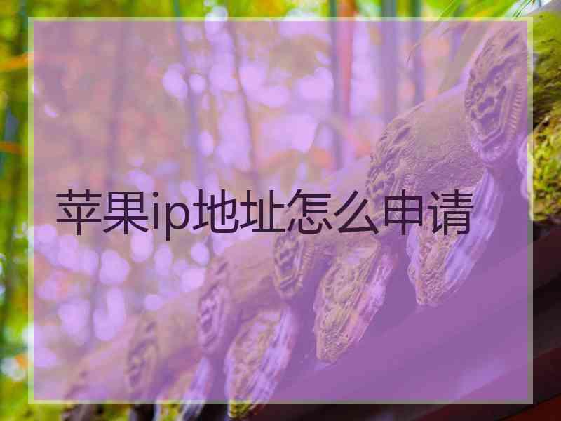 苹果ip地址怎么申请