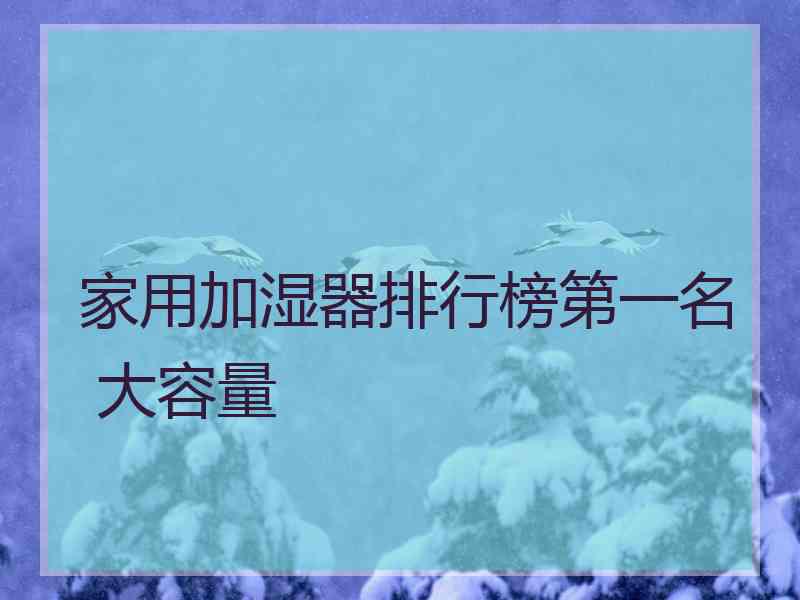 家用加湿器排行榜第一名 大容量