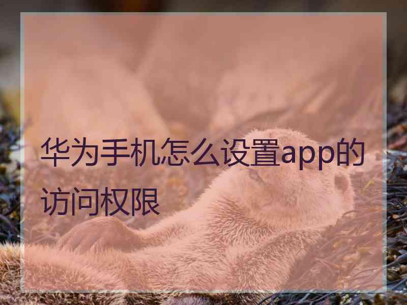 华为手机怎么设置app的访问权限