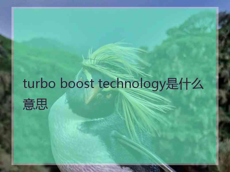 turbo boost technology是什么意思