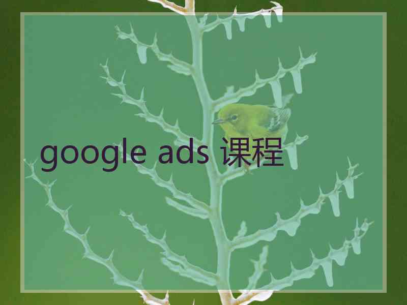 google ads 课程