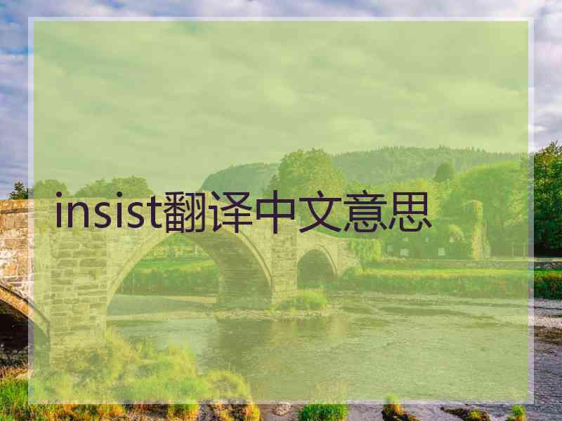 insist翻译中文意思