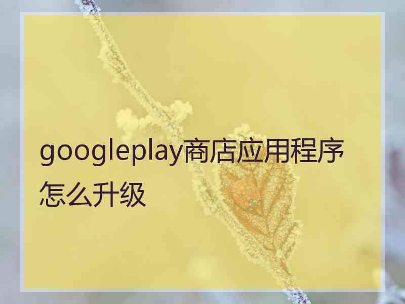 googleplay商店应用程序怎么升级