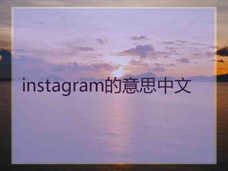 instagram的意思中文