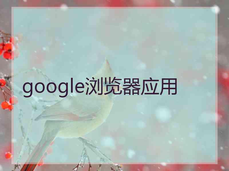 google浏览器应用