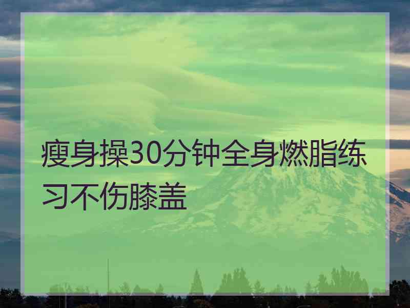 瘦身操30分钟全身燃脂练习不伤膝盖