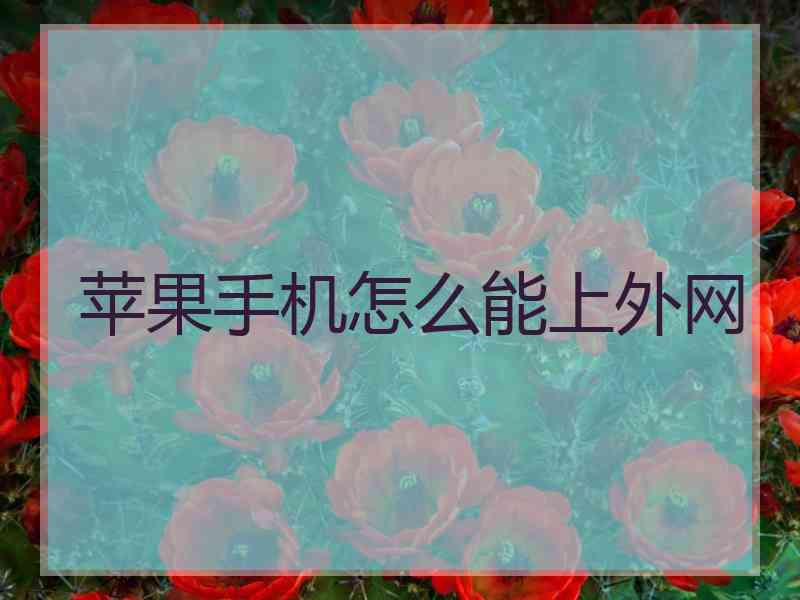 苹果手机怎么能上外网