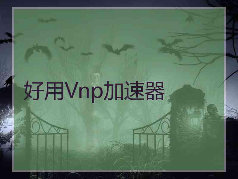 好用Vnp加速器