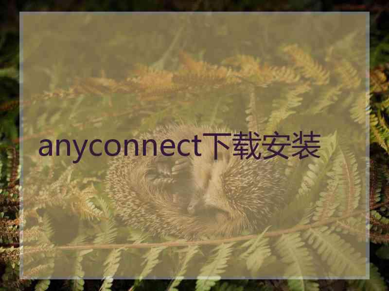 anyconnect下载安装