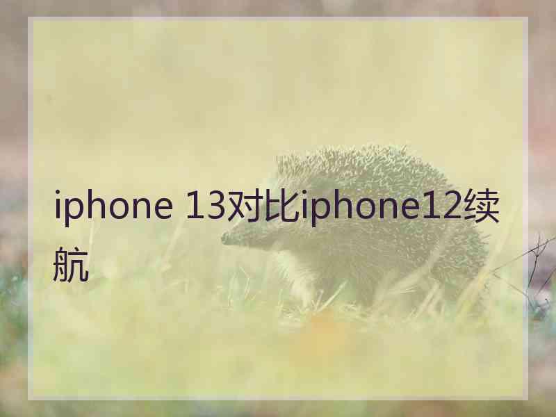 iphone 13对比iphone12续航