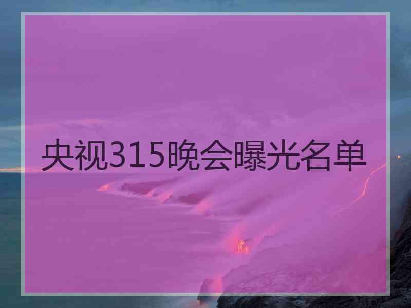 央视315晚会曝光名单