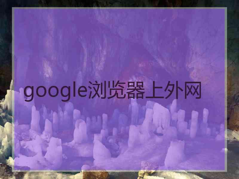 google浏览器上外网