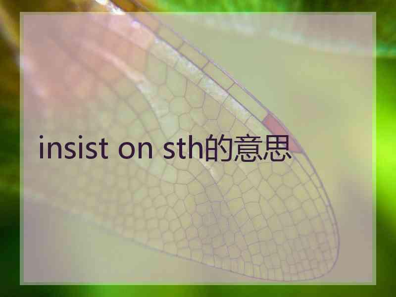 insist on sth的意思