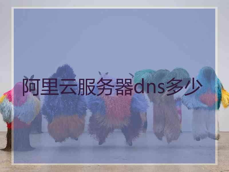 阿里云服务器dns多少