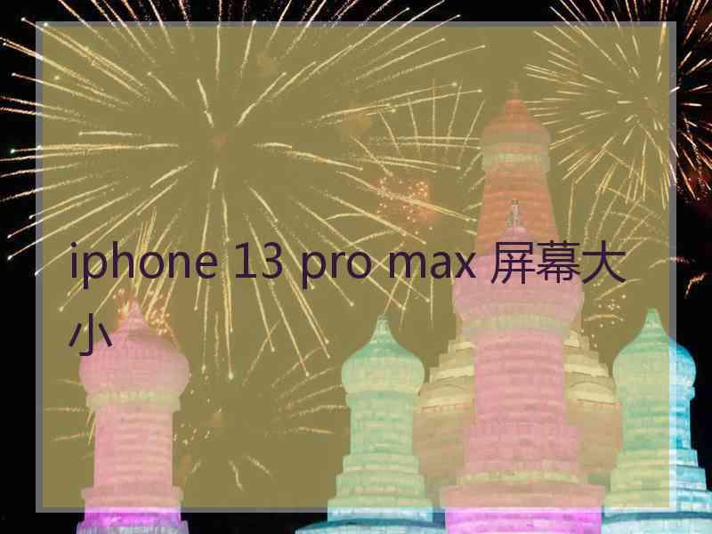 iphone 13 pro max 屏幕大小