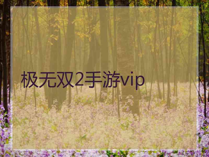 极无双2手游vip