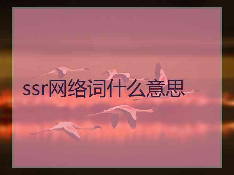 ssr网络词什么意思