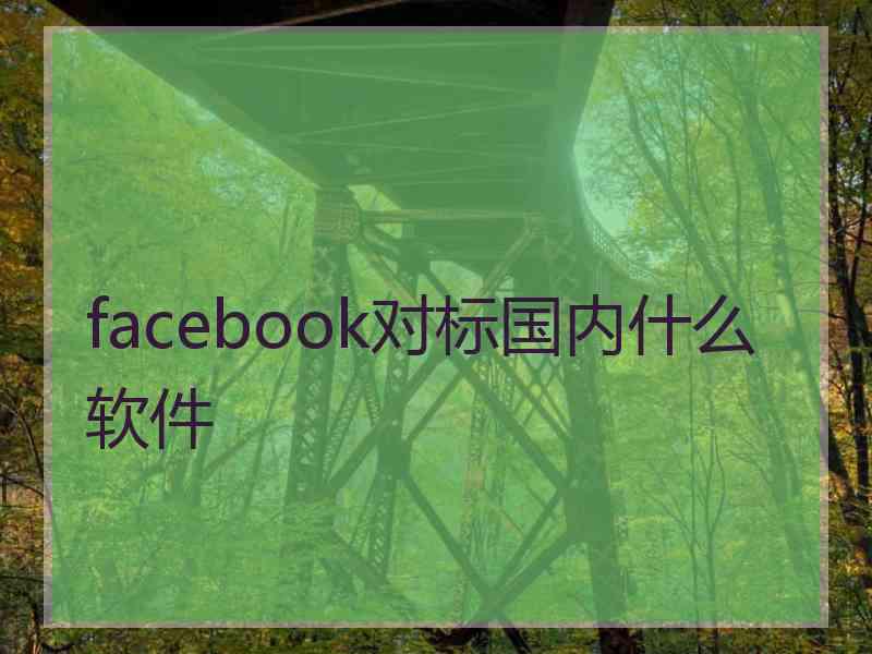 facebook对标国内什么软件