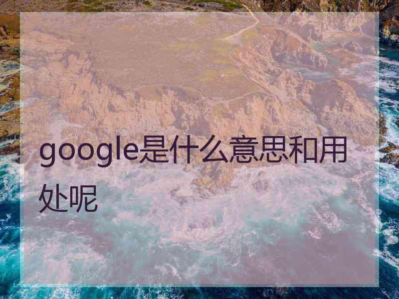 google是什么意思和用处呢