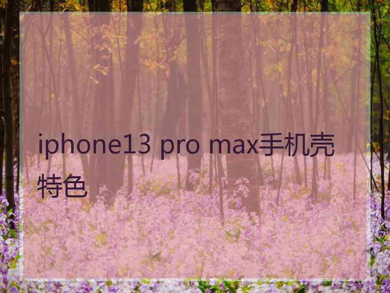 iphone13 pro max手机壳特色