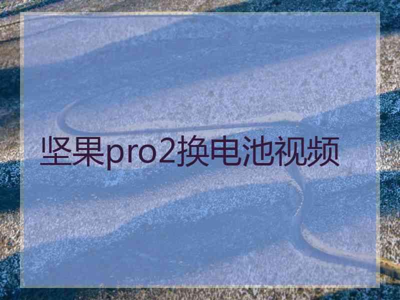 坚果pro2换电池视频