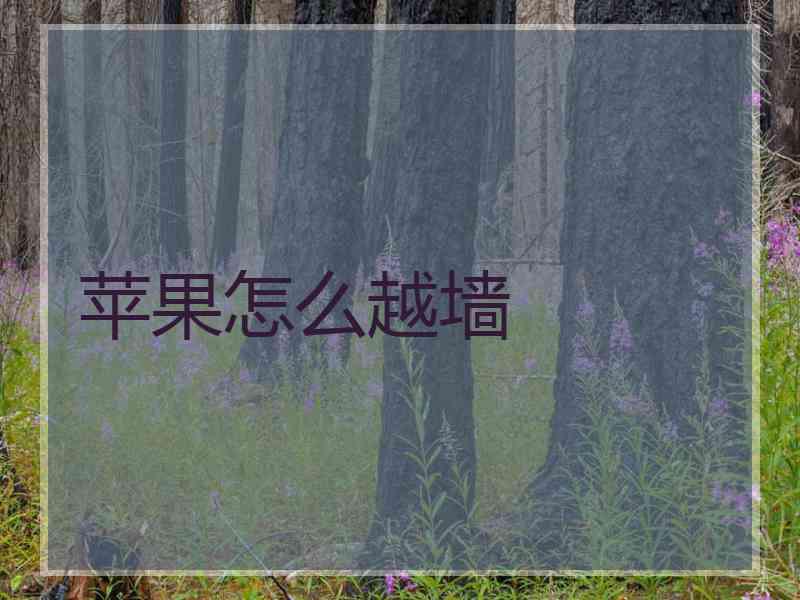 苹果怎么越墙