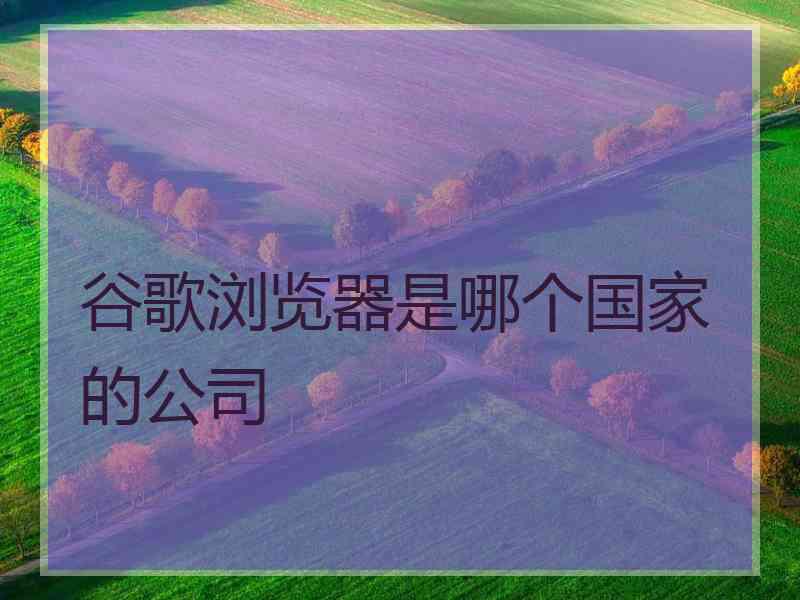 谷歌浏览器是哪个国家的公司