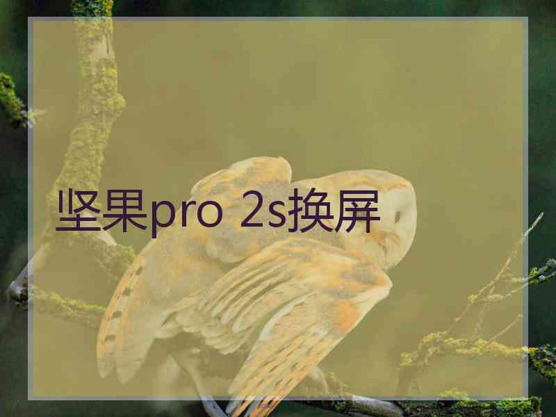 坚果pro 2s换屏