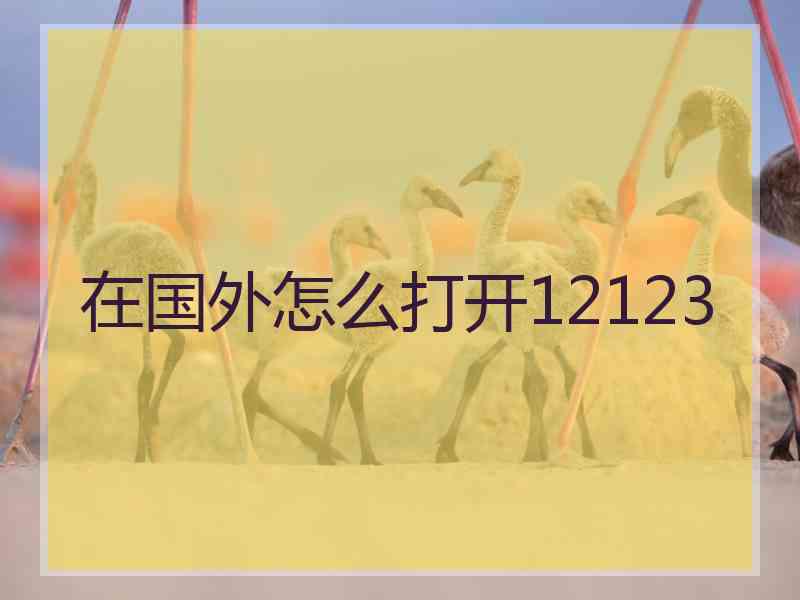 在国外怎么打开12123