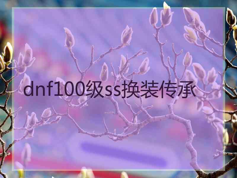 dnf100级ss换装传承