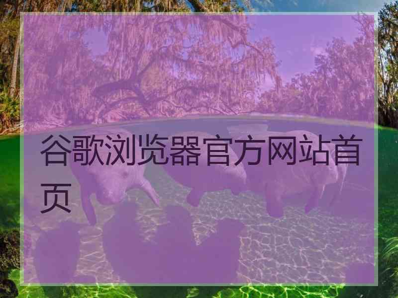 谷歌浏览器官方网站首页