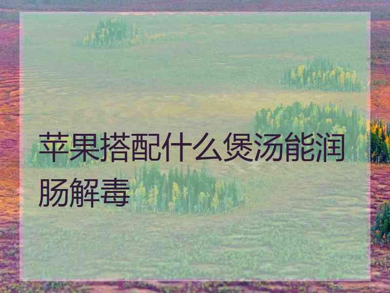 苹果搭配什么煲汤能润肠解毒