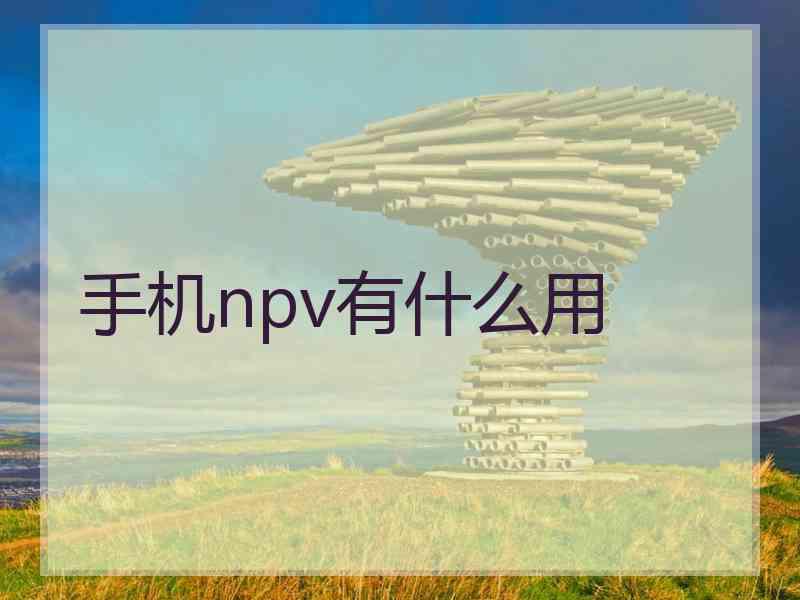 手机npv有什么用