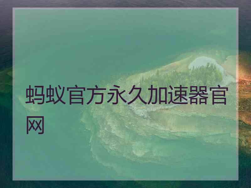 蚂蚁官方永久加速器官网