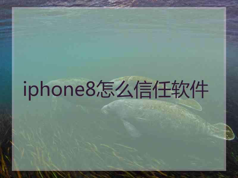 iphone8怎么信任软件