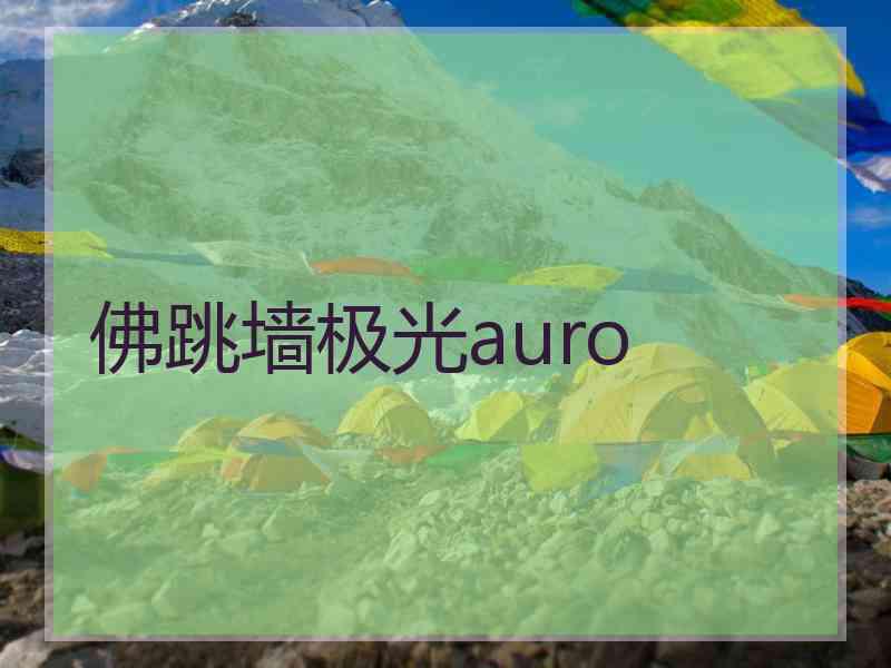 佛跳墙极光auro