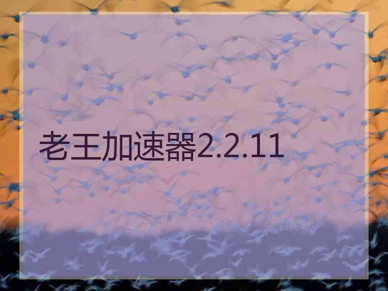 老王加速器2.2.11