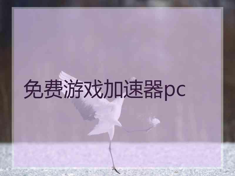 免费游戏加速器pc