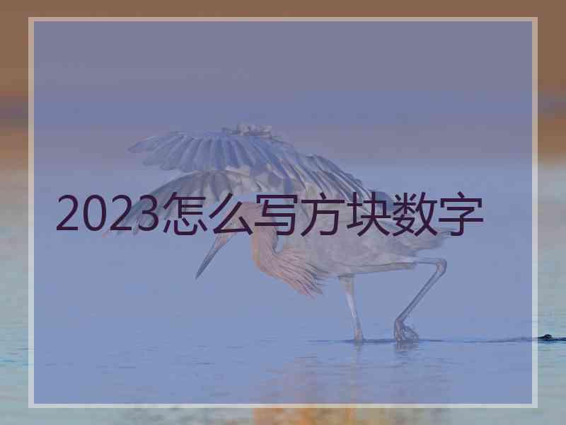 2023怎么写方块数字