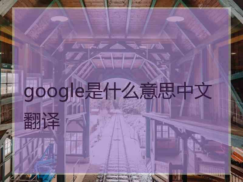 google是什么意思中文翻译