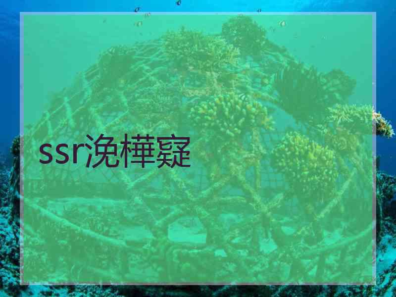 ssr浼樺寲