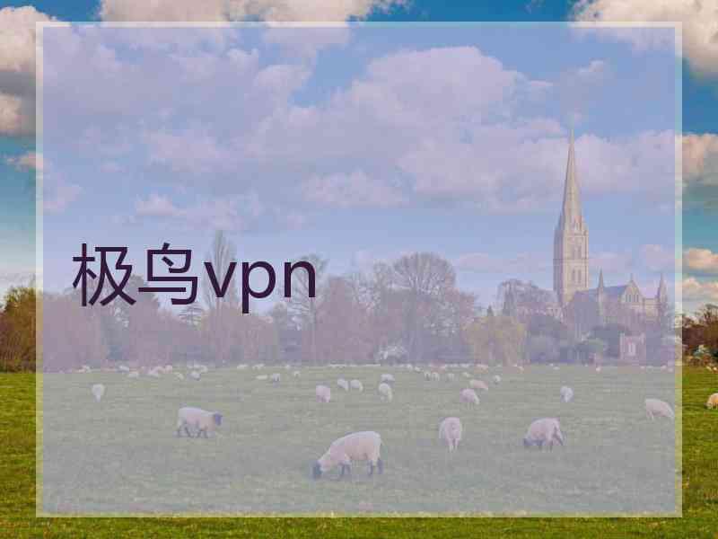 极鸟vpn