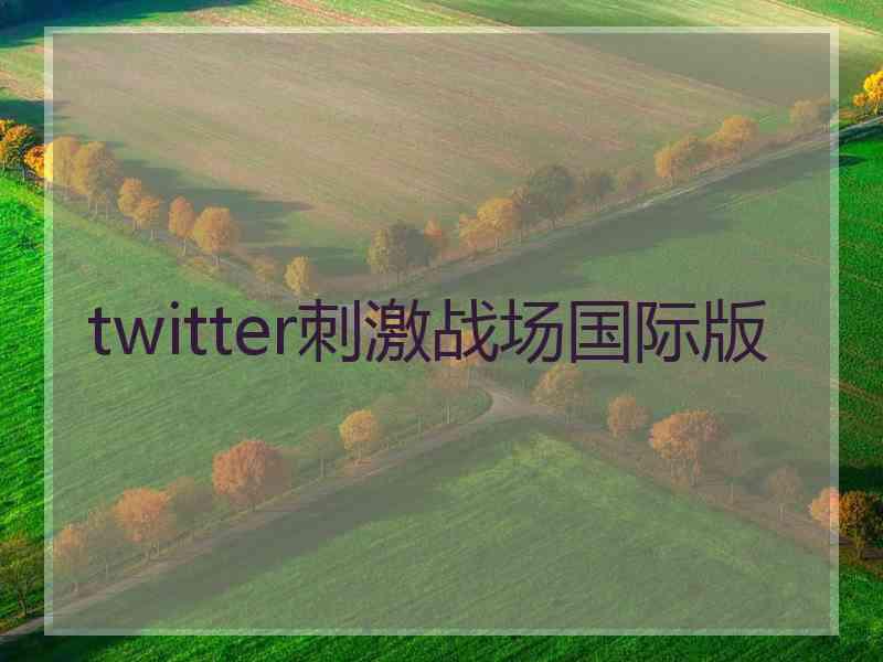 twitter刺激战场国际版