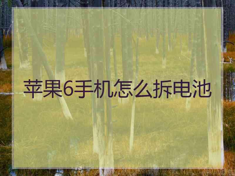 苹果6手机怎么拆电池