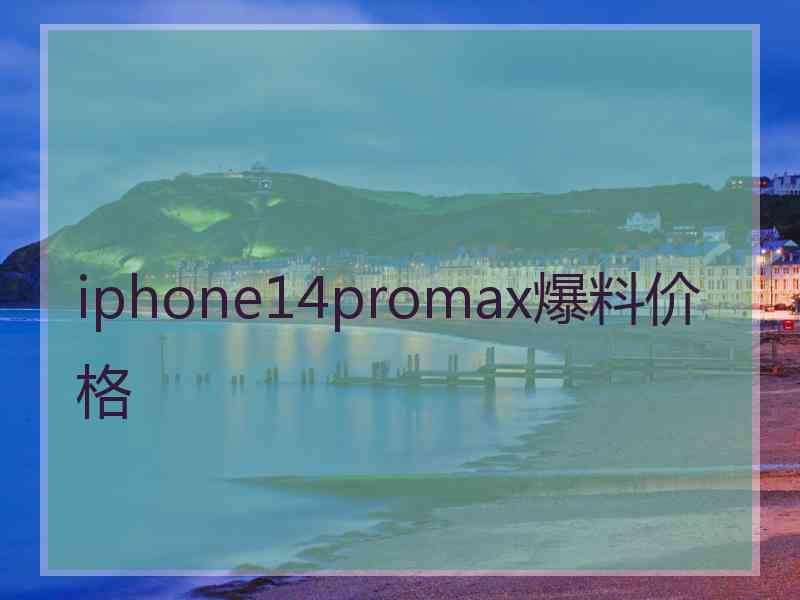 iphone14promax爆料价格