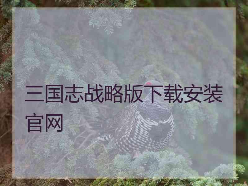 三国志战略版下载安装官网