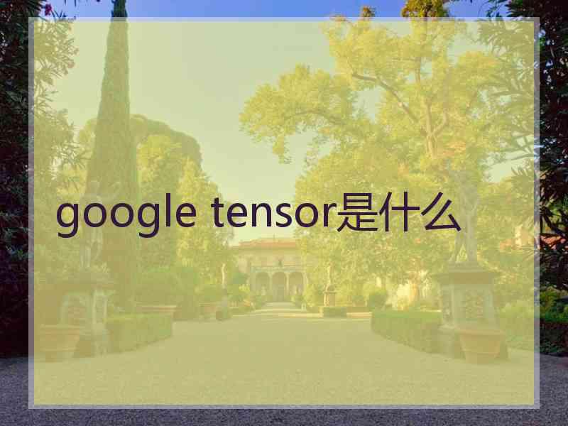 google tensor是什么