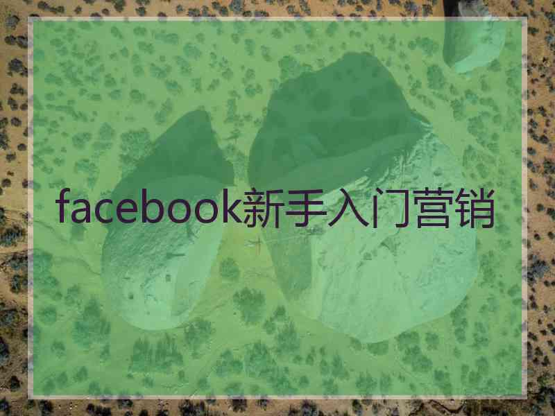 facebook新手入门营销