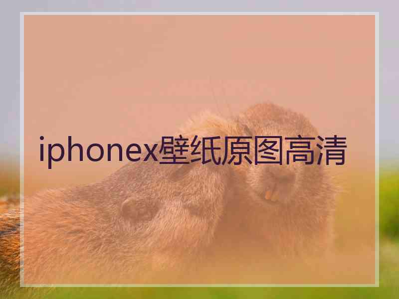 iphonex壁纸原图高清